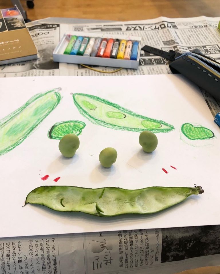 えんどう豆